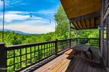 2428 Breezy Road - Photo 78