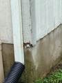 797 Long St - Photo 3