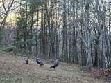 3792 Chilly Springs Rd - Photo 29
