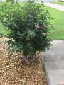 710 Pinehurst Pt - Photo 25