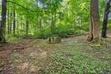 924 Cline Ridge Rd - Photo 70
