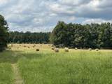 2780 Canoe Branch Rd - Photo 48