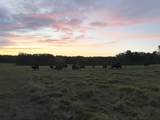 2780 Canoe Branch Rd - Photo 49