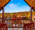 229 Forrest Loop Way - Photo 3