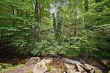 211 Webb Creek Skyline Drive - Photo 47