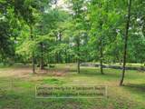 2505 Fly Ln - Photo 3