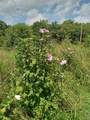 1830 Mcbride Rd - Photo 69
