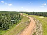 1420 Big Swan Creek Rd - Photo 15