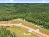 1420 Big Swan Creek Rd - Photo 8