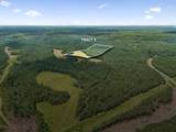 1420 Big Swan Creek Rd - Photo 2