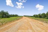 1420 Big Swan Creek Rd - Photo 3