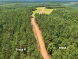 1420 Big Swan Creek Rd - Photo 10