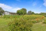 7055 Mooneyham Lonewood Road - Photo 58