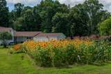 7055 Mooneyham Lonewood Road - Photo 59