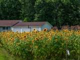 7055 Mooneyham Lonewood Road - Photo 9