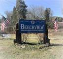 201 Beechview Dr - Photo 60