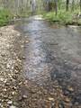 0 Opossum Paw Road - Photo 3