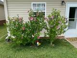 1417 Bending River Dr - Photo 28