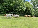2624 Clinch Valley Rd - Photo 6