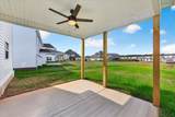1336 Mourning Cloak Dr - Photo 34