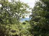 711 Milky Way Dr - Photo 80