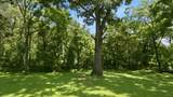 215 Wallace Dr - Photo 29