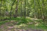0 Ugly Creek Road - Photo 21