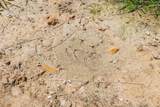 0 Ugly Creek Road - Photo 26