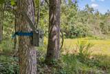 0 Ugly Creek Road - Photo 27