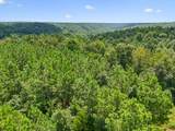 0 Ugly Creek Road - Photo 42