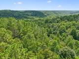 0 Ugly Creek Road - Photo 45