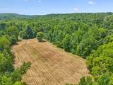 0 Ugly Creek Road - Photo 46