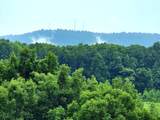 3021 Pea Ridge Rd - Photo 23