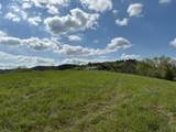 222 Cook Hollow Ln - Photo 11