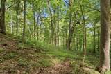 487 Rocky River Shores Drive - Photo 45