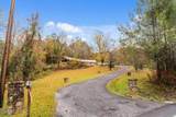 560 Buckhorn Road - Photo 60