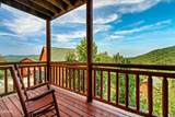 1242 Bird Nest Way - Photo 51