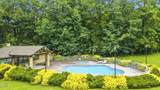 338 Pinnacle View Way - Photo 41