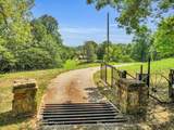 8455 Lewis Rd - Photo 37