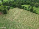 317 Singleton Hollow Rd - Photo 14