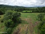 317 Singleton Hollow Rd - Photo 4