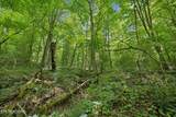 0 Knob Rd - Photo 23
