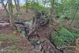 0 Dripping Springs Rd - Photo 26
