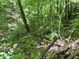 0 Fir Drive - Photo 8