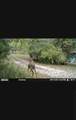 1150 Bell Hollow Rd - Photo 28