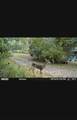 1150 Bell Hollow Rd - Photo 29