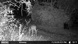 1150 Bell Hollow Rd - Photo 30