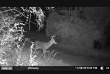 1150 Bell Hollow Rd - Photo 31