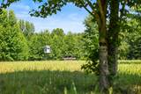4335 Highway 48 - Photo 23