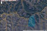 2932 Old Hohenwald Rd - Photo 2